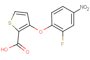 3-(2-fluoro-4-nitrophenoxy)-2-thiophenecarboxylic acid