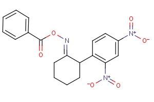 1-{2-[(benzoyloxy)imino]cyclohexyl}-2,4-dinitrobenzene