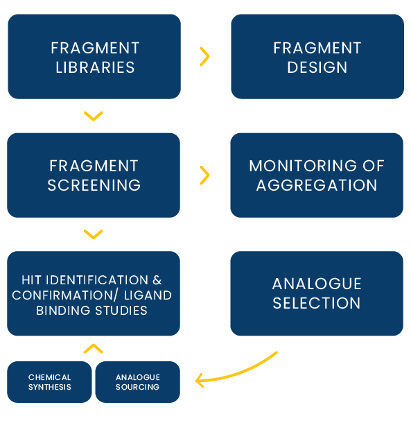 NMX Fragment Screening Services