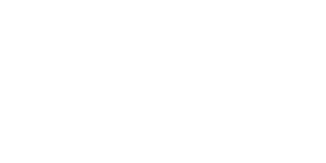 topivert white logo