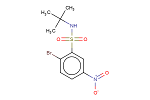 2-bromo-N-(tert-butyl)-5-nitrobenzenesulfonamide
