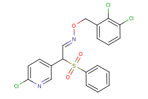 2-(6-chloro-3-pyridinyl)-2-(phenylsulfonyl)acetaldehyde O-(2,3-dichlorobenzyl)oxime