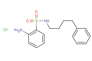 2-{[(4-phenylbutyl)amino]sulfonyl}benzenaminium chloride