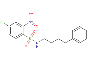 4-chloro-2-nitro-N-(4-phenylbutyl)benzene-1-sulfonamide