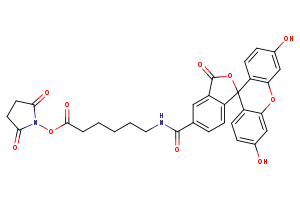 2,5-dioxopyrrolidin-1-yl 6-({3′,6′-dihydroxy-3-oxo-3H-spiro[2-benzofuran-1,9′-xanthen]-5-yl}formamido)hexanoate