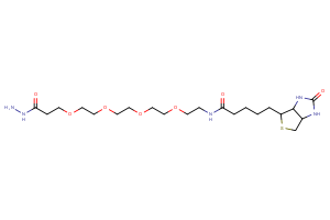 N-[14-(hydrazinecarbonyl)-3,6,9,12-tetraoxatetradecan-1-yl]-5-{2-oxo-hexahydro-1H-thieno[3,4-d]imidazol-4-yl}pentanamide
