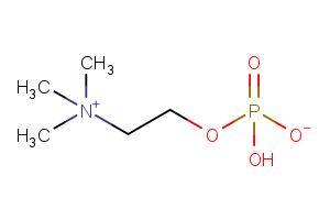 3616-04-4 | Phosphorylcholine | C5H14NO4P